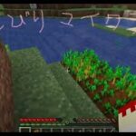 【マイクラ】のんびり雑談穴掘り配信