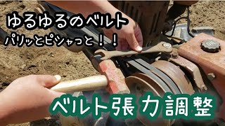 【耕運機ベルト張力調整】鳥に襲われました