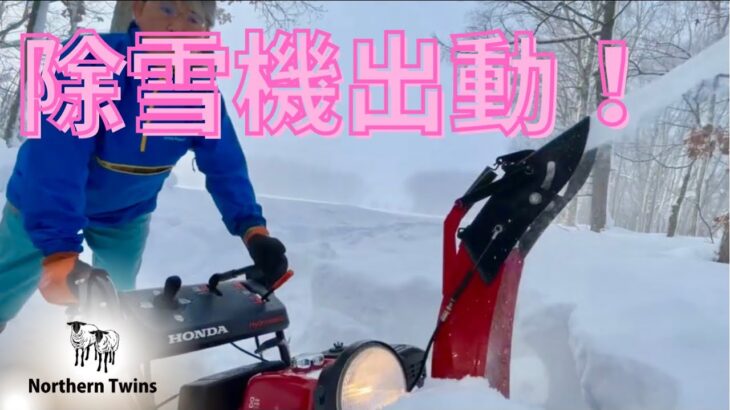 『除雪機出動！』キャンプ場入口を除雪しました！