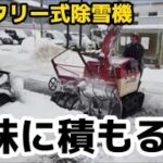 【ロータリー式除雪機】今年の雪はドカっと積もらず、地味に積もるのね。