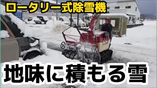 【ロータリー式除雪機】今年の雪はドカっと積もらず、地味に積もるのね。