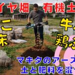 沖縄県【青パパイヤ育て方】マキタのアースオーガを使い土作り！名護のパパイヤ畑の土作りの様子を紹介します！穴掘り＆簡単に肥料(鶏ふん･牛糞･菌床)を混ぜることが出来ます！パパイヤの苗の成長が楽しみです！