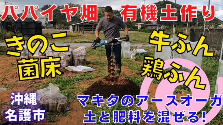 沖縄県【青パパイヤ育て方】マキタのアースオーガを使い土作り！名護のパパイヤ畑の土作りの様子を紹介します！穴掘り＆簡単に肥料(鶏ふん･牛糞･菌床)を混ぜることが出来ます！パパイヤの苗の成長が楽しみです！