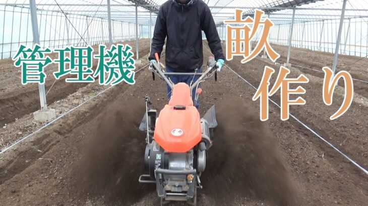 管理機を使って、畝を作る