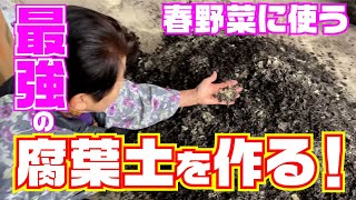 【効く！】春野菜の定植に向けて腐葉土をパワーアップさせます【トウモロコシ】【有機】【腐葉土】【油粕】【魚粉】【骨粉】【肥料】【発酵】