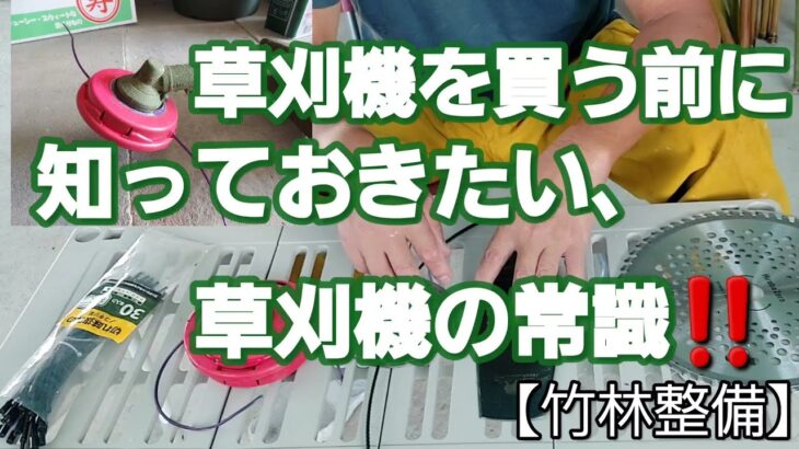 草刈り機を買う前に知っておきたい。　草刈り機の常識　【竹林整備】