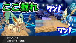 【イーブイズ】犬より穴を掘りまくったリーフィア【ポケモン剣盾】