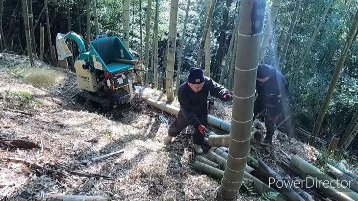 【竹林整備】寸暇を惜しんで竹を砕く