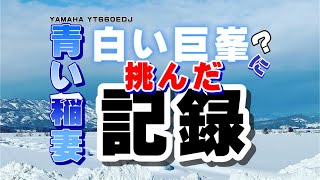 #青い稲妻 vs 白い巨峯の記録  #YAMAHA #YT660EDJ #青い除雪機 #insta360oneX #Plow