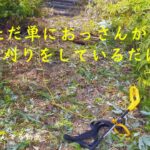 [電動草刈り機]　ただ単におっさんが草を刈っているだけの動画です　2018年3月