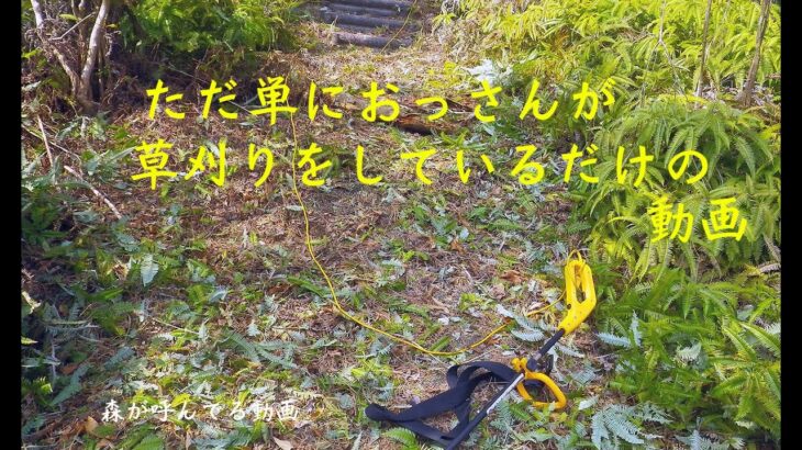 [電動草刈り機]　ただ単におっさんが草を刈っているだけの動画です　2018年3月