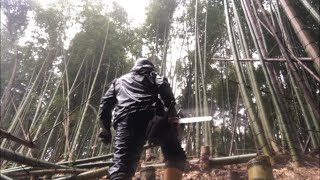 荒廃した孟宗竹林の整備～ようやく尾根まで登りつめた～チェンソー男の山暮らし&自給自足生活2022/02/20-05