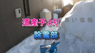 2022年2月　除雪機リッキー整備