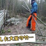【荒れ地を整備する4】真竹