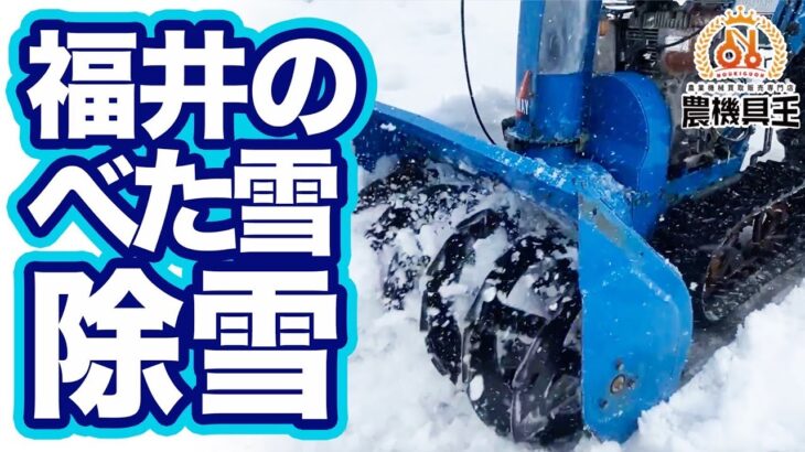 検証！ベタ雪を色んな除雪機で除雪してみた！【農機具王 福井店】