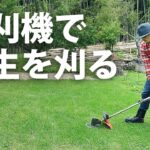 【芝刈り】マキタ充電式草刈機で芝生を刈る【田舎暮らし】