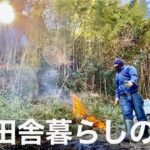 田舎暮らし古民家再生の１日。竹を伐採して古民家前の山をキレイに！