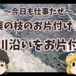 小川沿いの栗の枝を回収する　～今日も仕事だぜ～