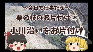 小川沿いの栗の枝を回収する　～今日も仕事だぜ～