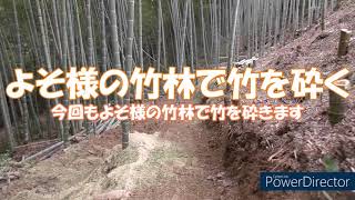 【竹林整備】よそ様の竹林整備