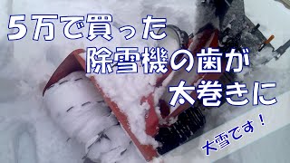 大雪になったから除雪機で除雪してみたら、雪が多すぎで埋まりそうだった