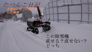 【新規就農】たつんこ日記　この除雪機 直せる？直せない？どっち【田舎暮らし】