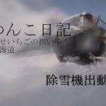 【新規就農】たつんこ日記　除雪機出動！！【田舎暮らし】