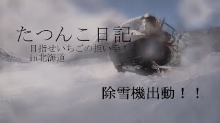 【新規就農】たつんこ日記　除雪機出動！！【田舎暮らし】