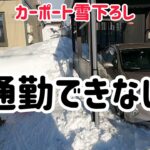 【除雪】カーポートの雪下ろし。ショベルカーも登場