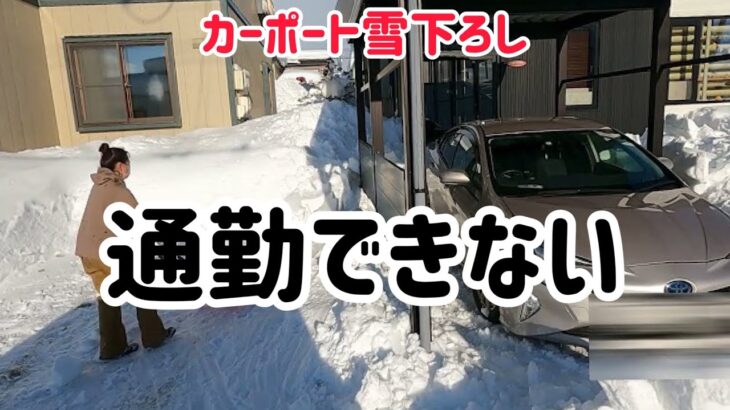 【除雪】カーポートの雪下ろし。ショベルカーも登場