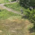 ビデオ日記＃1 マキタの充電式草刈り機で、草刈りに挑戦。