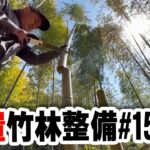 竹の伐採と処理#15　放置竹林整備　ウッドチッパー粉砕機で片付け