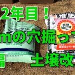 【芝生】【後編】芝生人2年目に突入！30cmの穴を掘って大幅な土壌改良に挑戦！