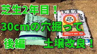 【芝生】【後編】芝生人2年目に突入！30cmの穴を掘って大幅な土壌改良に挑戦！