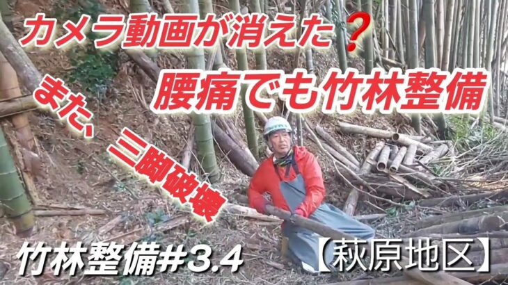 カメラ動画が消えた❓️　腰痛でも竹林整備　また、三脚破壊　竹林整備#3、4　【萩原地区】