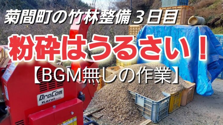 菊間町の竹林整備３日目　粉砕はうるさい❗　【BGM無しの作業】