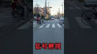 DQNバイク大爆笑信号無視