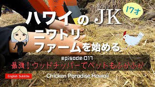 最強！ウッドチッパーでベットもふかふか EP017 #4K #ニワトリ #チキンパラダイスハワイ ハワイのJKニワトリファームを始める！