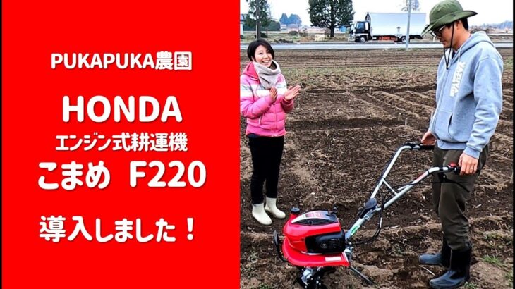 HONDA エンジン式耕運機「こまめ」F220 導入！ | PUKAPUKA農園