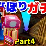 【ゲーム遊び】Part4 直下掘りガチャ マリオのサバイバルでマイクラ【アナケナ&カルちゃん】Minecraft