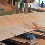 Sawmill.penggergajian kayu bengkirai buat bahan balokan