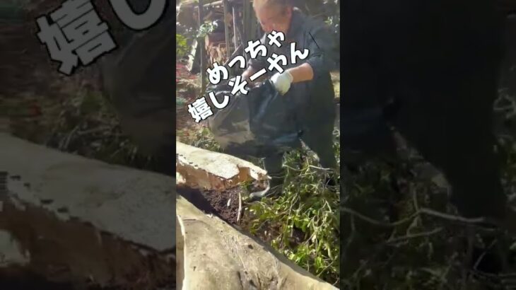 助かったカブトムシの幼虫が！　#shorts