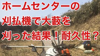 ホームセンターの草刈り機でプロが大藪を刈ってわかった耐久性