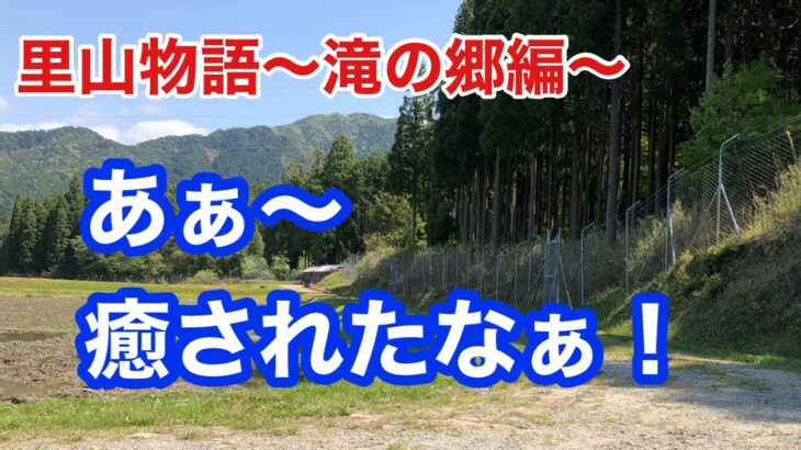 【極普通】癒しの里山作業！草刈り機で戯れるっ！