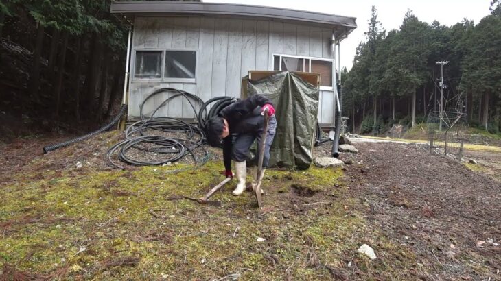 植樹の準備　場所を決めて穴掘り