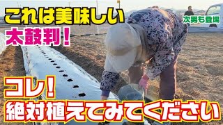 家庭菜園するならコレ絶対おすすめ！