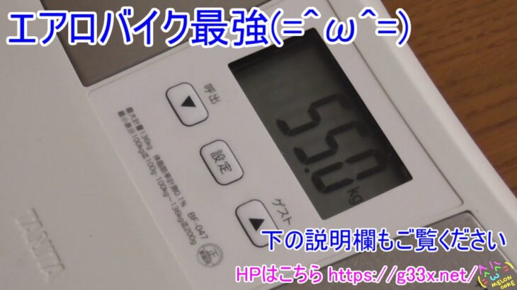 -21Kg達成！BMI19.5！55Kgちょうど！(=^ω^=)食事制限とエアロバイクでダイエット