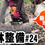プロ仕様スチール  【竹林整備】#23　伐採竹と大木の整理