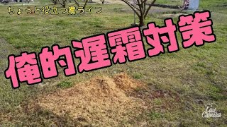 ♯271【霜対策 第二弾】遅霜をぶっ飛ばせ！【ちょっと役立つ農ライフ】