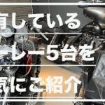 【バイク雑談】所有しているハーレー5台を一気にご紹介